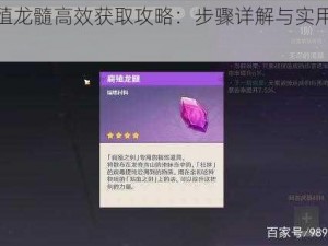 原神腐殖龙髓高效获取攻略：步骤详解与实用技巧分享