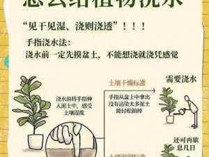 小白花浇灌日常 小白花的浇灌日常：如何让它茁壮成长？