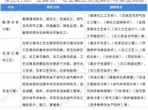 深挖石油产业真相：专业截图预览解析与实战洞察