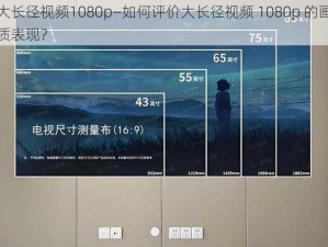 大长径视频1080p—如何评价大长径视频 1080p 的画质表现？