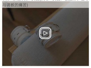 bdsm折磨bdsm女囚(BDSM 女囚：被捆绑、羞辱与调教的痛苦)