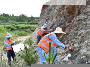 大地资源网第7页—如何在大地资源网第 7 页中找到所需信息？