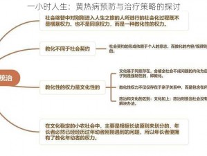 一小时人生：黄热病预防与治疗策略的探讨