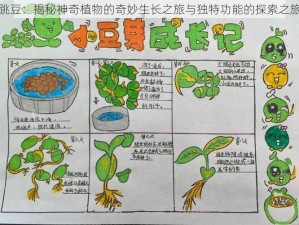 跳豆：揭秘神奇植物的奇妙生长之旅与独特功能的探索之旅