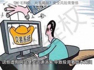 片毛网站、片毛网站？安全风险需警惕