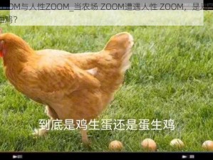 农场ZOOM与人性ZOOM_当农场 ZOOM遭遇人性 ZOOM，是鸡生蛋还是蛋生鸡？