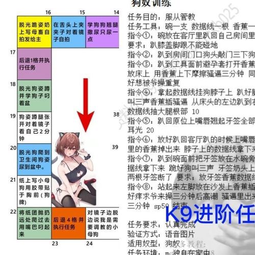 如何利用网调惩罚 K9 的产品介绍