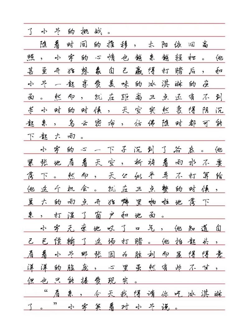 小宇和小兰打赌的作文 800 字——介绍一款神奇的产品