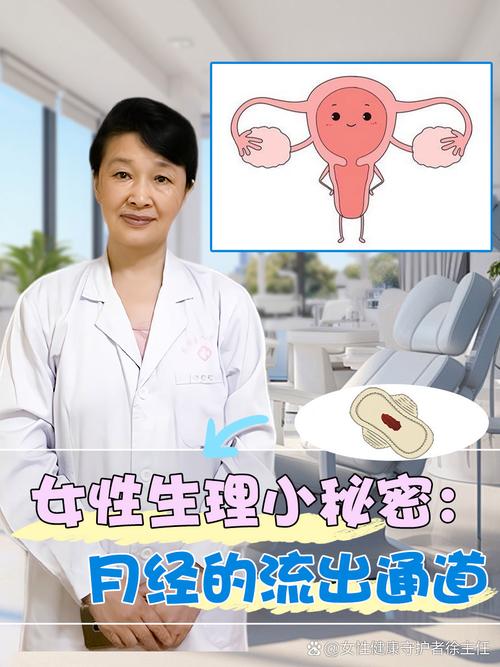 女厕撒尿一区二区三区免费观看，一款实用的女性生理健康 APP，提供专业的女性生理知识和健康建议