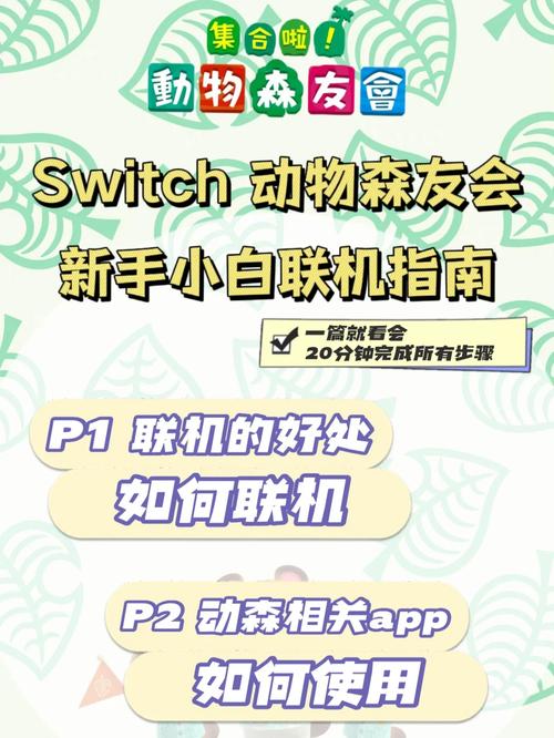 动物森友会联机指南：如何联机与伙伴共游？