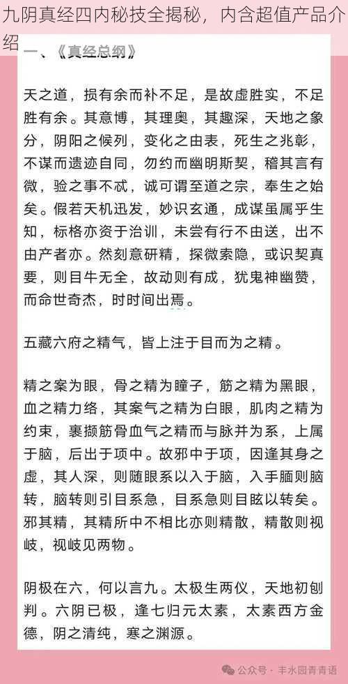 九阴真经四内秘技全揭秘，内含超值产品介绍