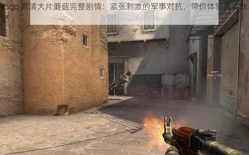 csgo 高清大片蘑菇完整剧情：紧张刺激的军事对抗，带你体验真实战场