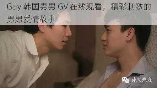 Gay 韩国男男 GV 在线观看，精彩刺激的男男爱情故事