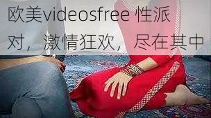 欧美videosfree 性派对，激情狂欢，尽在其中