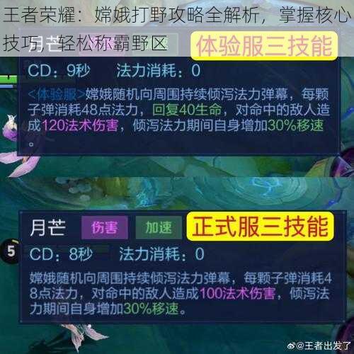 王者荣耀：嫦娥打野攻略全解析，掌握核心技巧，轻松称霸野区