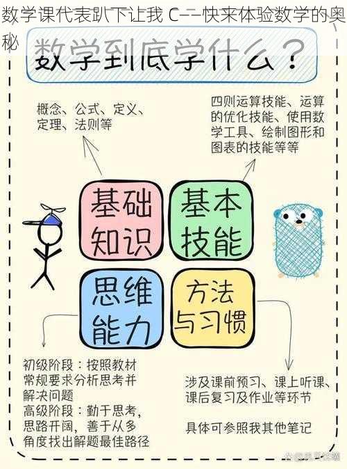 数学课代表趴下让我 C——快来体验数学的奥秘