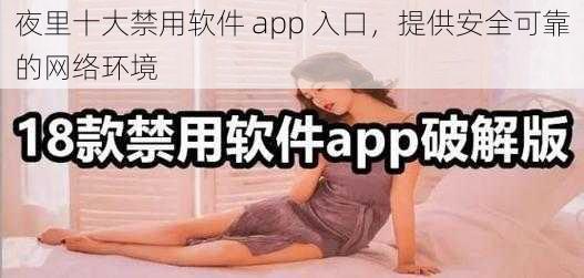 夜里十大禁用软件 app 入口，提供安全可靠的网络环境