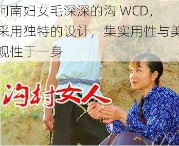 河南妇女毛深深的沟 WCD，采用独特的设计，集实用性与美观性于一身