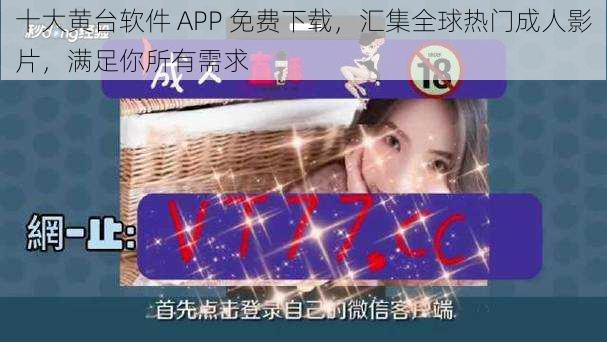 十大黄台软件 APP 免费下载，汇集全球热门成人影片，满足你所有需求