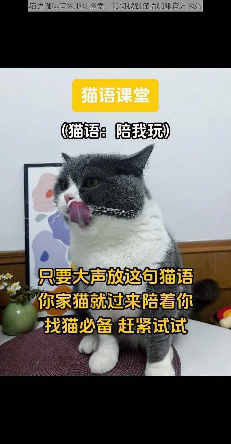 猫语咖啡官网地址探索：如何找到猫语咖啡官方网站