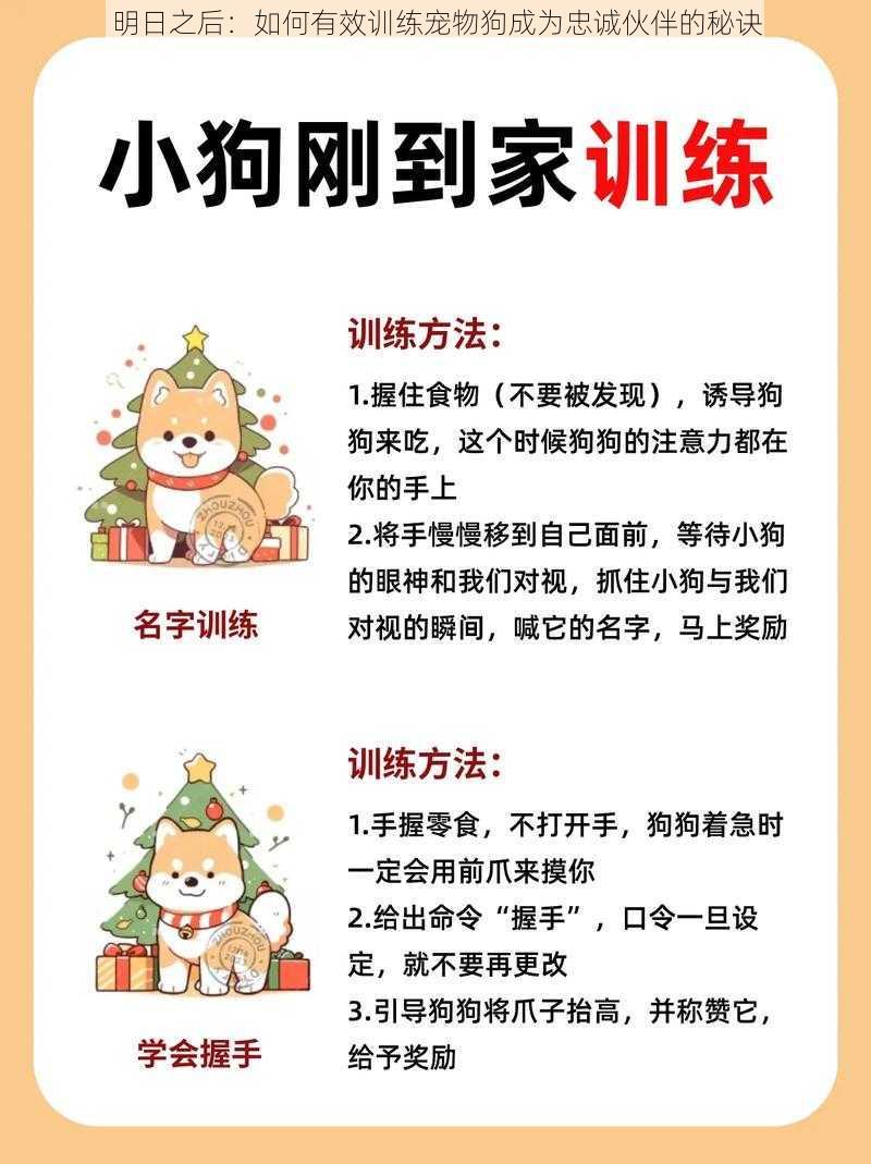 明日之后：如何有效训练宠物狗成为忠诚伙伴的秘诀