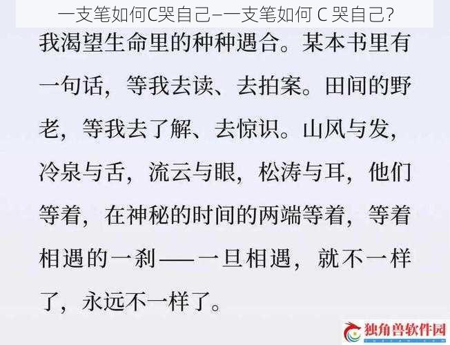 一支笔如何C哭自己—一支笔如何 C 哭自己？