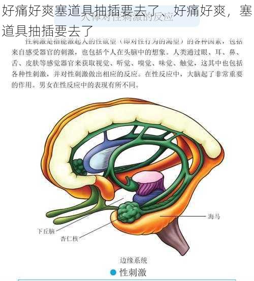 好痛好爽塞道具抽插要去了、好痛好爽，塞道具抽插要去了