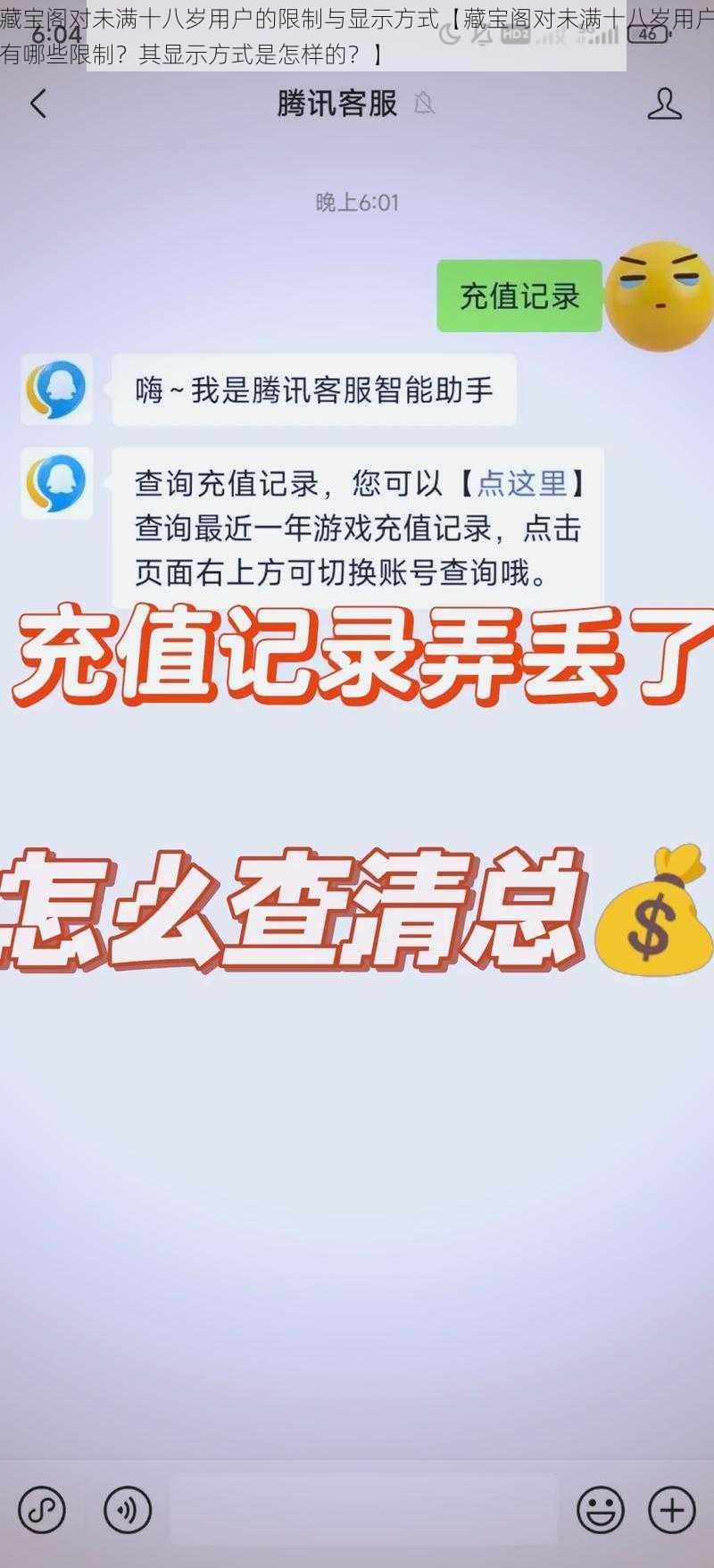 藏宝阁对未满十八岁用户的限制与显示方式【藏宝阁对未满十八岁用户有哪些限制？其显示方式是怎样的？】