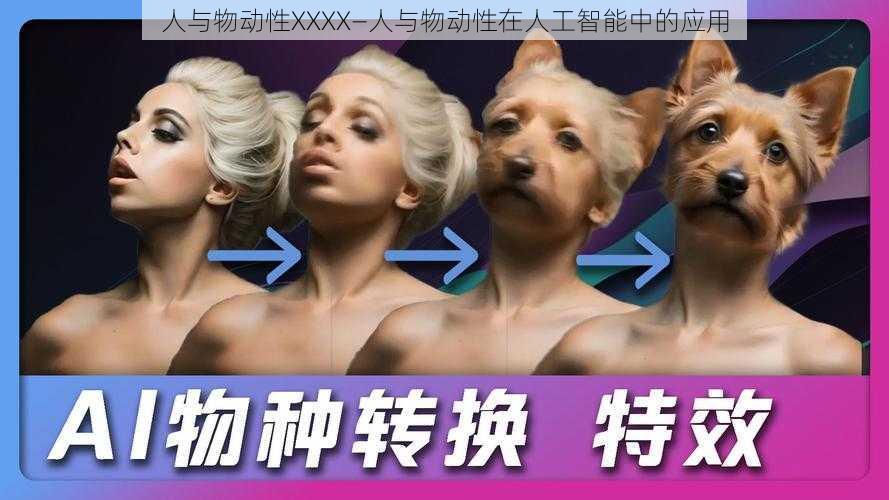 人与物动性XXXX—人与物动性在人工智能中的应用