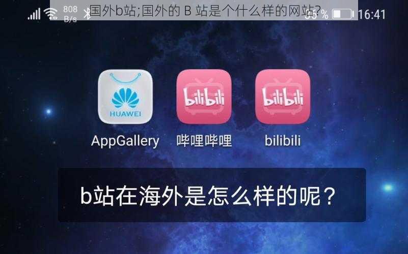 国外b站;国外的 B 站是个什么样的网站？