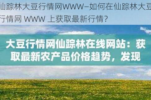 仙踪林大豆行情网WWW—如何在仙踪林大豆行情网 WWW 上获取最新行情？