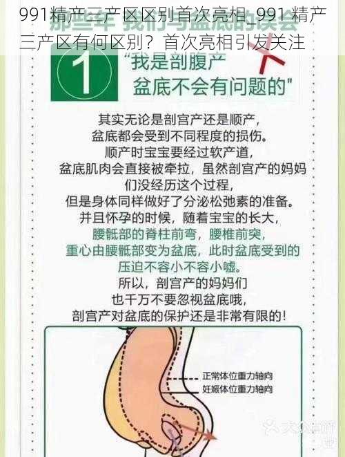 991精产三产区区别首次亮相_991 精产三产区有何区别？首次亮相引发关注