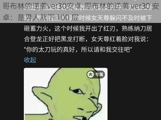 哥布林的逆袭ver30安卓;哥布林的逆袭 ver30 安卓：是男人就下 100 层