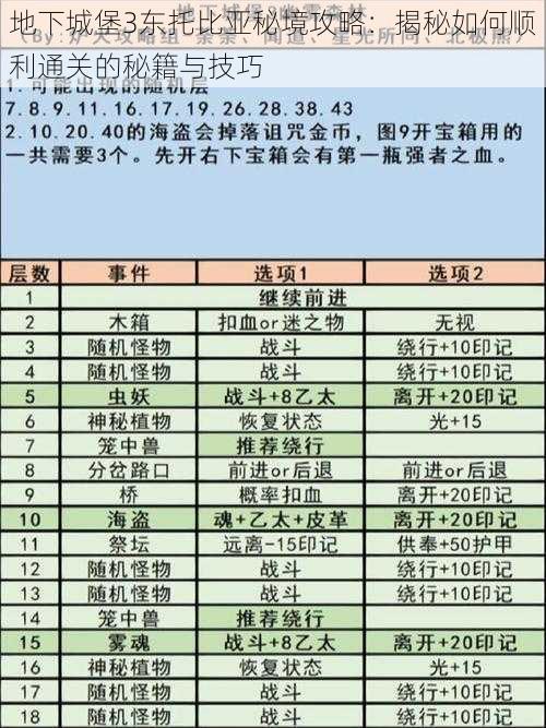 地下城堡3东托比亚秘境攻略：揭秘如何顺利通关的秘籍与技巧