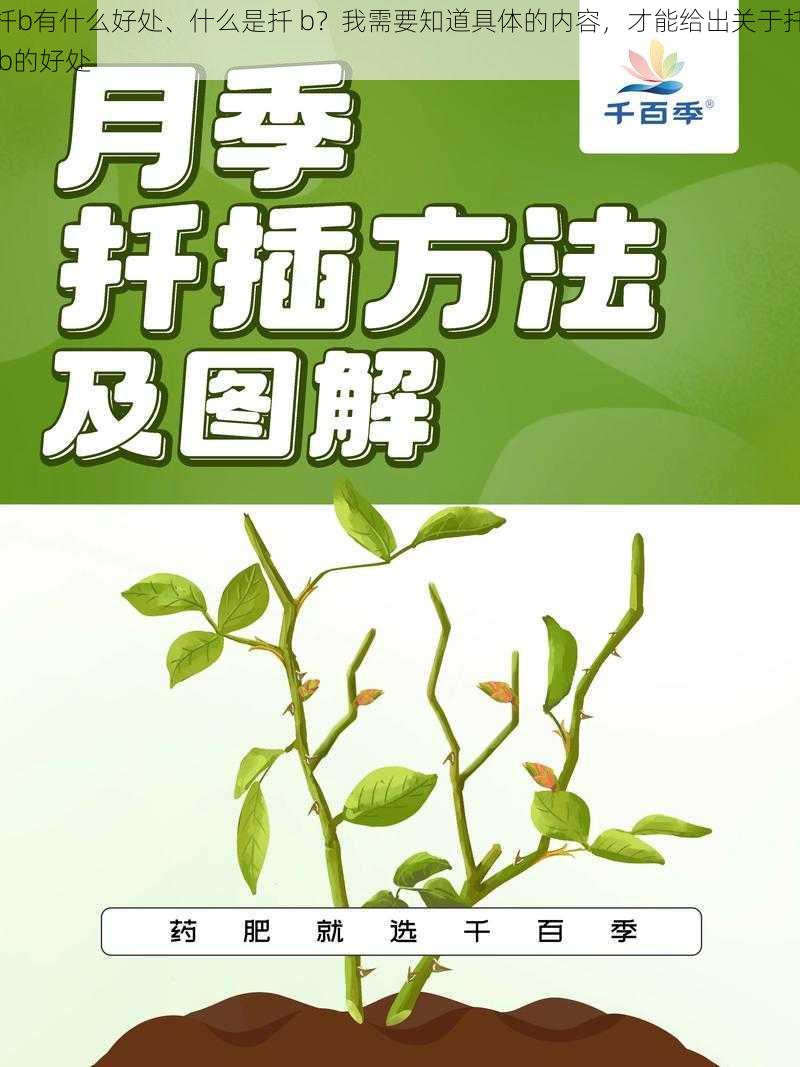 扦b有什么好处、什么是扦 b？我需要知道具体的内容，才能给出关于扦 b的好处