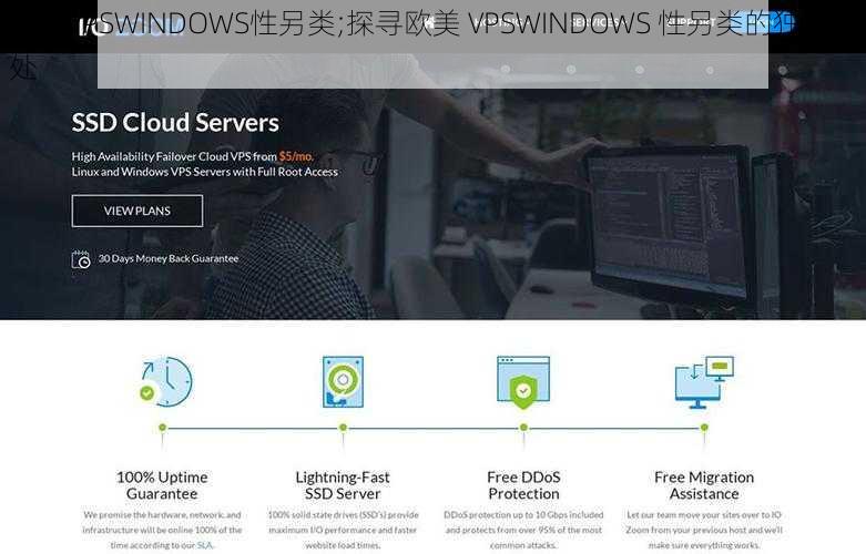 欧美VPSWINDOWS性另类;探寻欧美 VPSWINDOWS 性另类的独特之处