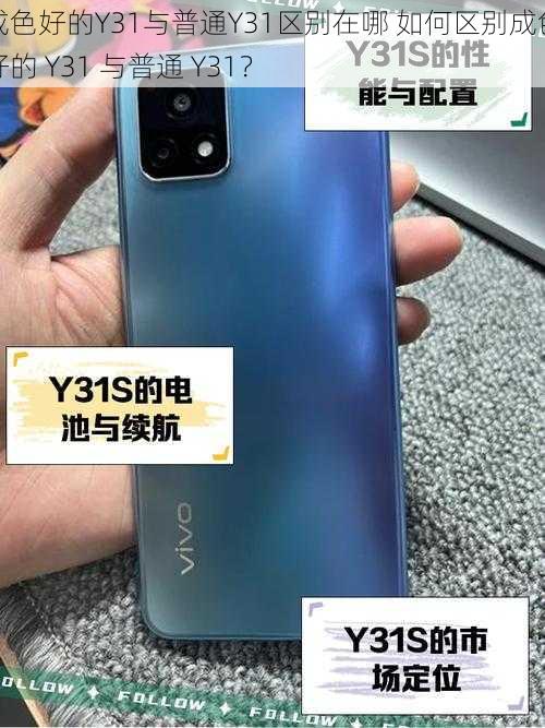 成色好的Y31与普通Y31区别在哪 如何区别成色好的 Y31 与普通 Y31？