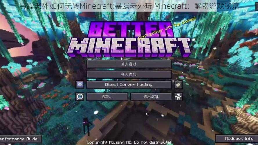 暴躁老外如何玩转Minecraft;暴躁老外玩 Minecraft：解密游戏秘籍