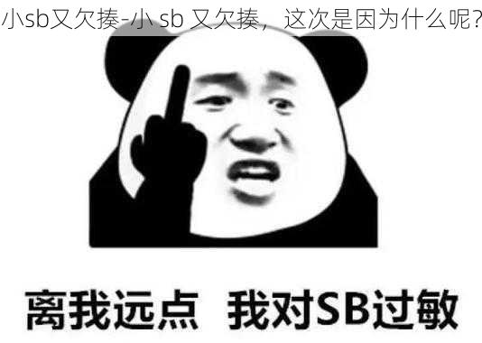 小sb又欠揍-小 sb 又欠揍，这次是因为什么呢？