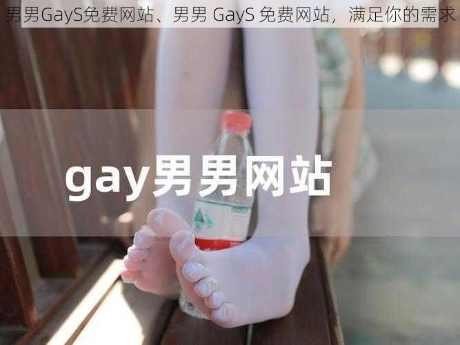 男男GayS免费网站、男男 GayS 免费网站，满足你的需求