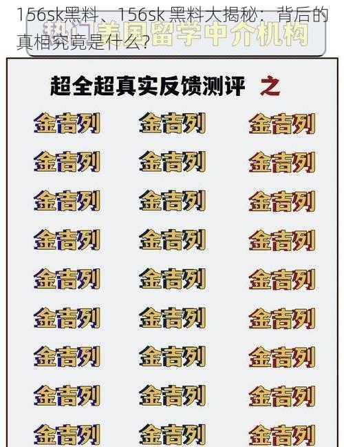 156sk黑料、156sk 黑料大揭秘：背后的真相究竟是什么？