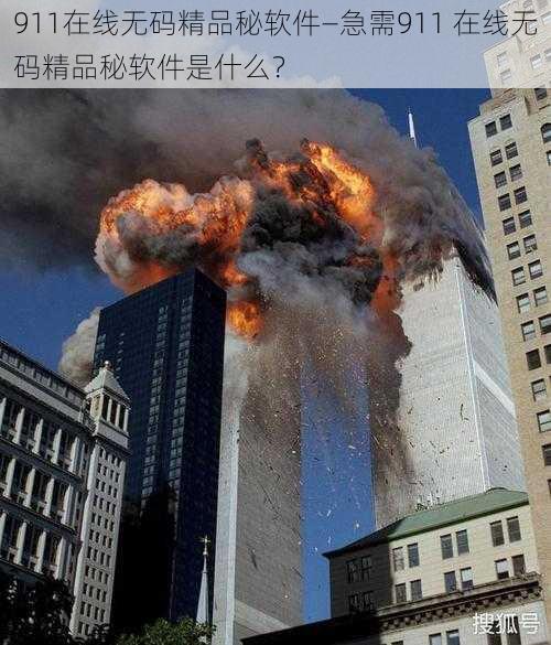 911在线无码精品秘软件—急需911 在线无码精品秘软件是什么？