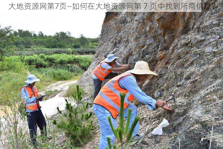 大地资源网第7页—如何在大地资源网第 7 页中找到所需信息？