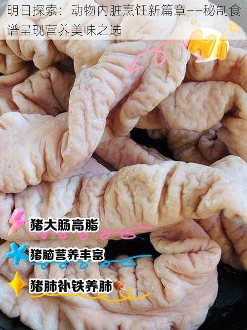 明日探索：动物内脏烹饪新篇章——秘制食谱呈现营养美味之选