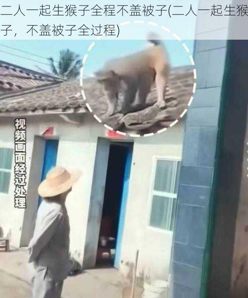 二人一起生猴子全程不盖被子(二人一起生猴子，不盖被子全过程)