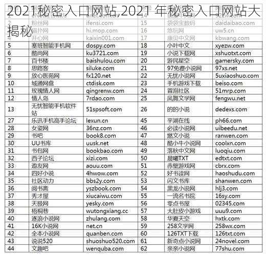 2021秘密入口网站,2021 年秘密入口网站大揭秘