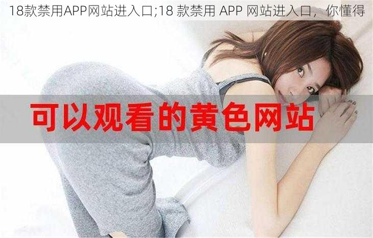 18款禁用APP网站进入口;18 款禁用 APP 网站进入口，你懂得