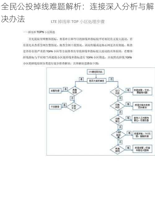 全民公投掉线难题解析：连接深入分析与解决办法