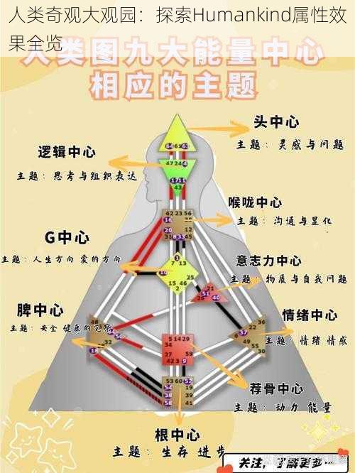 人类奇观大观园：探索Humankind属性效果全览