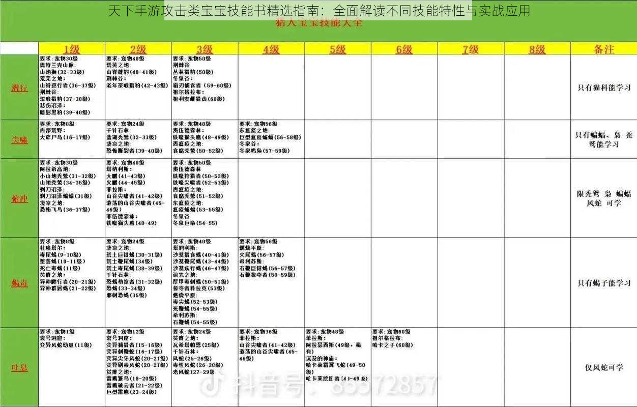 天下手游攻击类宝宝技能书精选指南：全面解读不同技能特性与实战应用